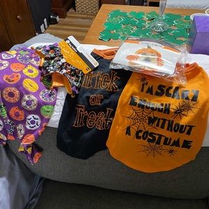 Holiday dog clothes and Accessories